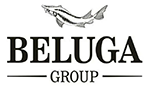 Белуга групп